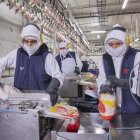 Inversión. Pronaca, firma que hoy prevé el 32 % del pollo que se consume en el país, invierte $ 25 millones en ampliación de planta de balanceado.