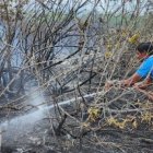 Daño. Se cree que los restos de una fogata generó el hecho.