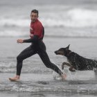 Nexos. Se han descrito muchos casos de lealtad incondicional de los perros para con sus tutores.