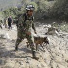 Un integrante del Ejército de Colombia busca sobrevivientes con un perro de rescate hoy, en el sitio de una avalancha en Quetame (Colombia). Con un mar de lodo hasta las rodillas y entre muebles y vehículos arrastrados por el barro, familiares de las víctimas de la avalancha que arrasó el caserío de Naranjal, en el pueblo de Quetame, en el centro de Colombia, buscan desesperadamente a los desaparecidos con la esperanza de encontrarlos vivos. EFE/ Carlos Ortega