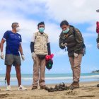 Suceso. Especialistas en el tema han recogido algunas aves muertas.