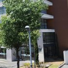 Disposición. El tribunal Contencioso Electoral (TCE) resolvió el caso presentado contra el exministro.