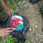 Evidencias. Miembros de Fuerzas Armadas decomisaron explosivos durante operaciones militares.