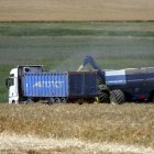 El pasado 17 de julio Moscú suspendió del acuerdo de exportación de grano a través del mar Negro desde puertos ucranianos.