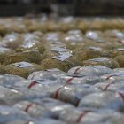 El piloto y el resto de los ocupantes aún están siendo buscados por las autoridades.