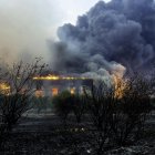 Los incendios en Grecia central han dejado cinco fallecidos.