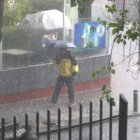 Presencia. Una o dos veces por mes se reportarán en las zonas donde prevalece el clima seco