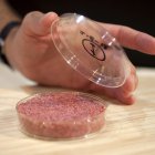 Proteína.- La carne que es creada en laboratoio.