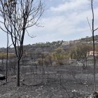 El gran incendio que afectó al litoral de Apulia fue controlado por los bomberos.