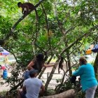 Actividades. En los cuatro sábados se han  organizado varios eventos en el mes que Tena dedica a la cultura .