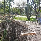 Vista. El parque Antonio Neumane luce lúgubre. Las ramas secas de las plantas invaden el predio.