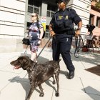 Seguridad camina frente al Palacio de Justicia de los Estados Unidos E. Barrett Prettyman, donde la jueza Tanya Sue Chutkan procesará al expresidente estadounidense Donald J. Trump el 03 de agosto, en Washington, DC, EE.UU.