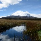 Restauración. Desde el 2015 se inició un proceso de recuperación de unas zonas que fueron destruidas por el ganado bovino y ovino, ya que el predio era una hacienda ganadera.