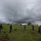 Labor. Campesinos limpian un lote reforestado.