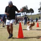 Tenencia. A través de herramientas lúdicas se enseñan destrezas.