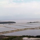 PISCINAS DE CRIANZA DE CAMARÓN DE LA EMPRESA CAMARONERA ECUATORIANA.