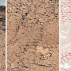 Patrón fósil hexagonal en rocas sedimentarias analizadas por Curiosity en su viaje por el cráter Gale de Marte. Imagen de NASA/JPL-Caltech/MSSS/IRAP/Rapin et al./Nature facilitada por el CNRS.