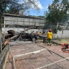 Uno de los carros tuvo daños en su techado y varias rejas cayeron con el impacto del árbol.