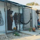 Momento. La pareja dormía en una hamaca cuando les dispararon.