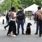 Más de la mitad de los perros que iniciaron este proyecto han salido de las filas de ‘protección’ para la ciudadanía.