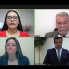 En sesión virtual, el pleno del órgano electoral convocó a las nuevas elecciones en el exterior.