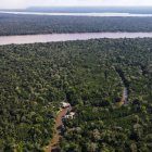 Fotografía aérea de archivo que muestra un área de la selva amazónica, en el estado de Pará (Brasil).