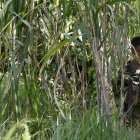 Conflictos. Un soldado vigila una de las zonas de combate en Colombia.