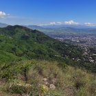 Vista de la zona en que fue descubierta una ciudad indígena perdida, el 29 de agosto de 2023 en Acapulco, estado de Guerrero (México). EFE/Str

JPG 1
300 x 195 px.; 32 bpp; 16,64 kB
JPG 2
600 x 389 px.; 32 bpp; 57,8 kB
JPG 3 (WEB)
1920 x 1243 px.; 24 bpp; 635,96 kB
JPG 4 (ORIGINAL)
3100 x 2007 px.; 24 bpp; 5,49 MB
JPG 5 (MINI WEB)
900 x 583 px.; 32 bpp; 129,8 kB
Tamaño personalizado. Elija ancho o alto
(Ancho máximo:3100 px. / Alto máximo:2007 px. )
Ancho
Alto

Recordar
Contenidos de la noticia:

<
    
>
Arqueólogos descubren una ciudad perdida prehispánica en Acapulco, sur de México

Arqueólogos descubren una ciudad perdida prehispánica en Acapulco, sur de México


Arqueólogos descubren una ciudad perdida prehispánica en Acapulco, sur de México


Arqueólogos descubren una ciudad perdida prehispánica en Acapulco, sur de México


Descubren una ciudad perdida prehispánica en Acapulco