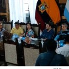 Sesión. Al final de la sesión, el alcalde Aquiles Álvarez felicitó a la concejala Úrsula Strenge por su cumpleaños.