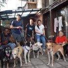 Voluntarios de la Fundación Amigos con Cola.