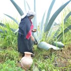 Con un pilche y vasija de barro extraen el líquido del penco.