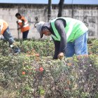 El Cabildo atendió la necesidad comunitaria en tres parques.