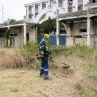 Intervención. Una tarea de desbroce de maleza se desarrolló en el lugar.