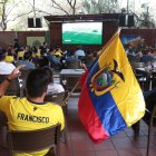 Varias banderolas tricolores se hicieron presentes para ver la victoria de la Tri.