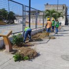 Trabajo. Durante las intervenciones se realiza poda, desbroce, limpieza, desalojo y riego de plantas.