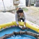 Atentos. El programa de ayuda culmina el próximo año.