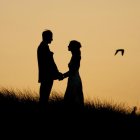 También revela que las variaciones de tamaño celular son independientes de si la célula es grande o pequeña, sugiriendo la existencia de mecanismos de homeostasis del tamaño celular en todo el organismo.