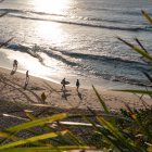 Pistas. Varios bañistas aparecen en una playa de Australia en medio de una ola de calor.