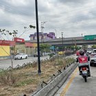 Mantenimiento. Desde que culminó el contrato de mantenimiento de las áreas verdes de esta zona, las jardineras no han tenido riego ni control fitosanitario.