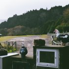 Presencia. Un par de gatos ferales descansan en un espacio rural. La convivencia con los animales silvestre implica un riesgo en Australia.