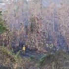 Hecho. El incendio se registró la tarde del sábado 23 de septiembre.