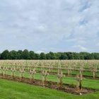 Países. En Francia y Bélgica se realizó este recorrido y reconocimiento.