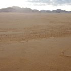 Paisaje en una zona árida de Namibia donde se pueden observar varios "círculos de hadas".