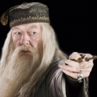 Gambon es conocido por su extensa carrera de más de cinco décadas en televisión, cine, radio y teatro.