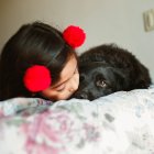 Cuidarlos. Es indispensable trabajar en la convivencia entre perro y niño para que la convivencia sea buena y no haya problemas.