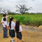 Ambiente. Los estudiantes realizan recorridos alrededor de su unidad, que está rodeado de árboles.
