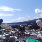 En 2022, en las islas Galápagos se recolectaron 3,6 toneladas de basura.
