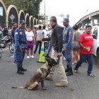 Los canes de la Policía Nacional acompañan a los uniformados en sus labores de esta jornada electoral