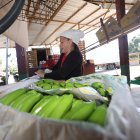 EL TRIUNFO VÍA A BUCAY PRODUCCIÓN DE BABANO PARA SU EXPORTACIÓN PERIODISTA: PAUL ARIAS FECHA: 19/08/2022 Agencia (ag-extra)