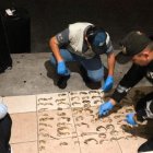 Las especies fueron retenidas en el aeropuerto José Joaquin de Olmedo, en Guayaquil.